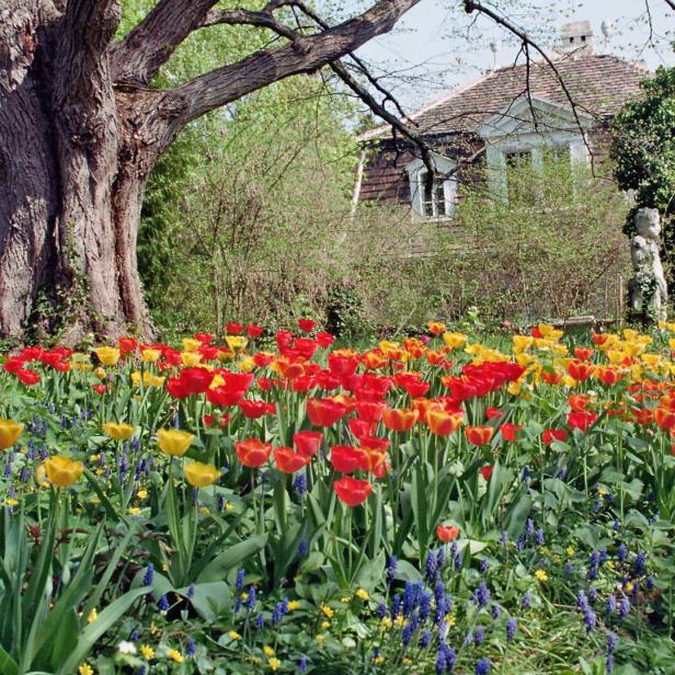 Demoliert hinter Grinzing am Berg: Nachruf auf eine Künstler-Villa