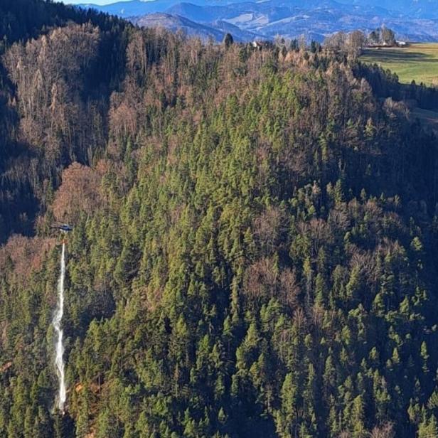 Hartberg: 58-jähriger Steirer bei Holzarbeiten von Baumstamm erschlagen