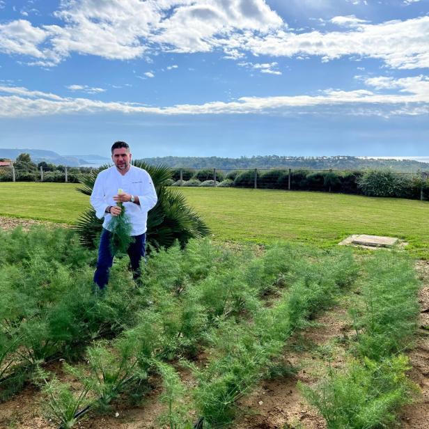 Ein Koch steht auf einem Feld und hält frischen Fenchel in der Hand.