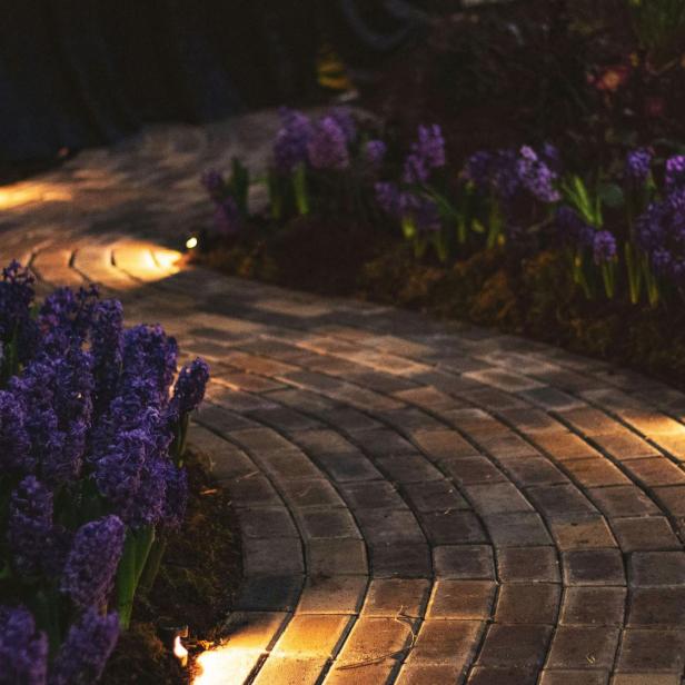 Tech-Gadgets, die den Garten in eine wahre Wohlfühloase verwandeln