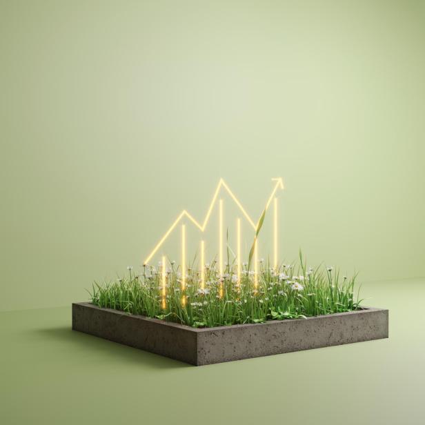 Ein Pfeil, der immer weiter nach oben steigt. Darunter eine grüne Wiese und eine grüne Wand dahinter.