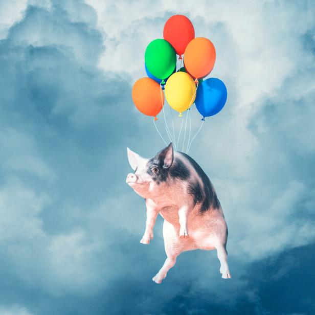 Ein Schwein schwebt mit bunten Luftballons vor einem bewölkten Himmel.