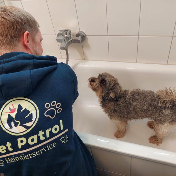 Ein Mann kümmert sich um einen kleinen Hund, der in einer Badewanne steht.