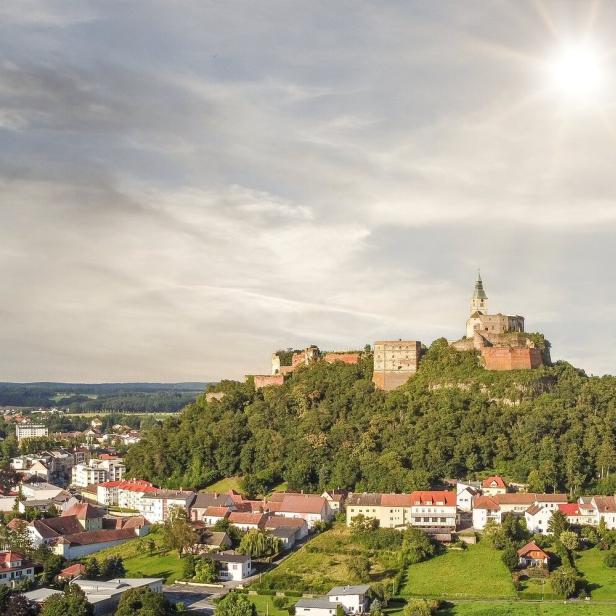 Eine große Burg thront auf einem bewaldeten Hügel über einer Stadt mit vielen Häusern bei sonnigem Wetter.