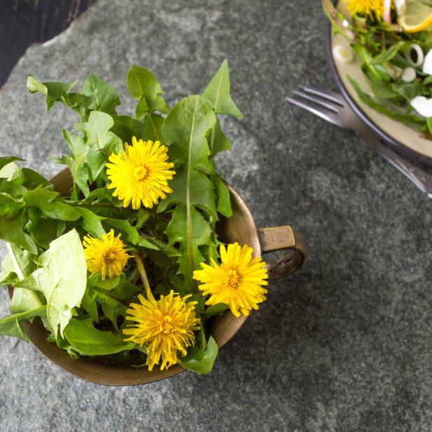 Löwenzahnblätter und -blüten in einer Schale, daneben ein Teller Salat mit Löwenzahnblüten.