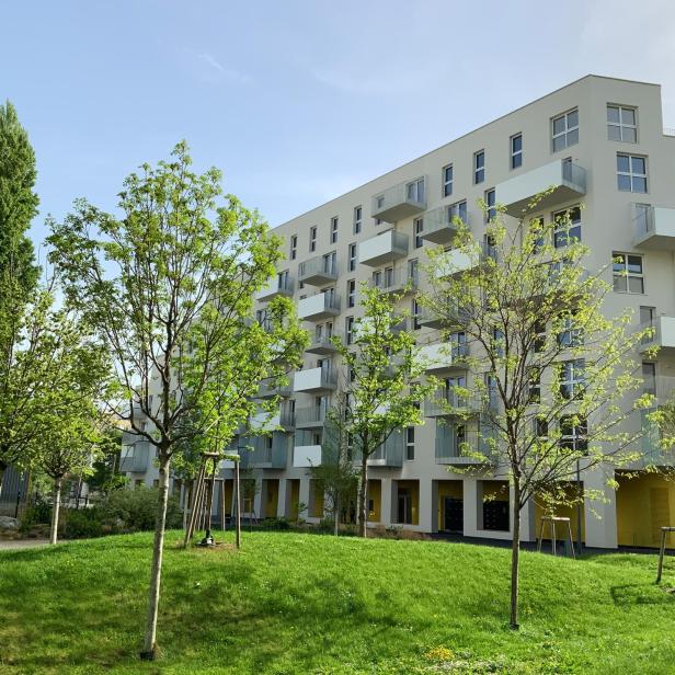 Ein modernes Mehrfamilienhaus mit einer Wiese mit Bäumen vornedran.
