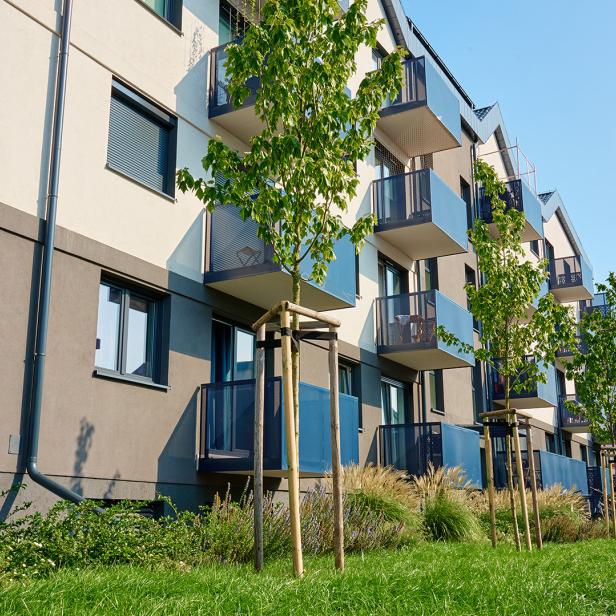 Ein Wohnhaus mit Grünfläche vornedran. 