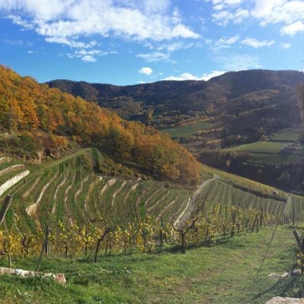 Spitzer Graben in der Wachau.