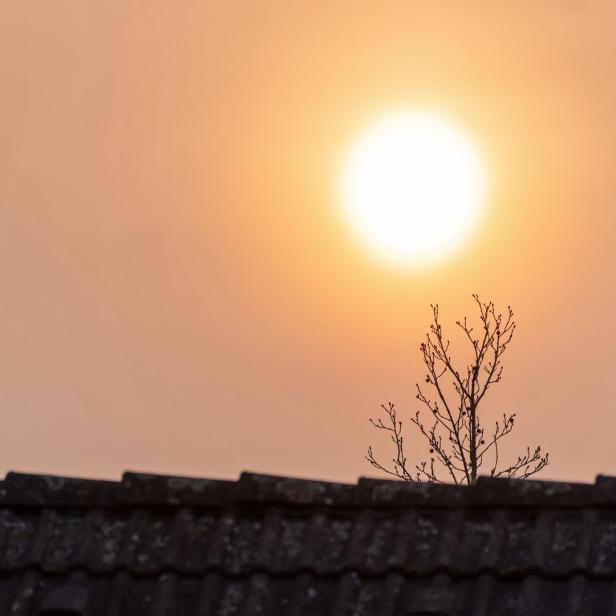 Warum Saharastaub für PV-Module problematisch ist
