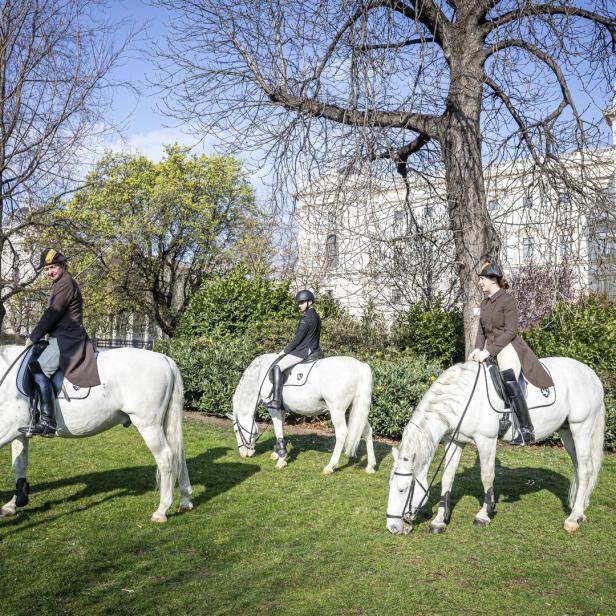 Reiterinnen und Reiter auf weißen Pferden im Burggarten in Wien.