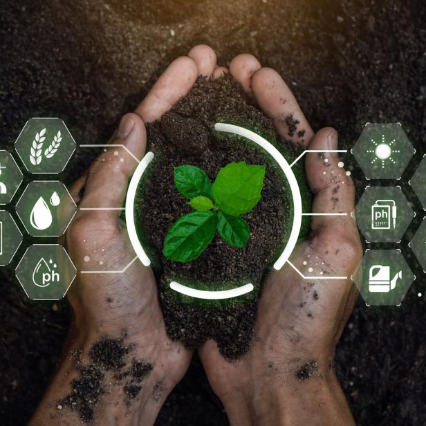Intelligenter Ernteertrag: KI in der Landwirtschaft