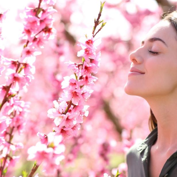 Es duftet nach Frühling