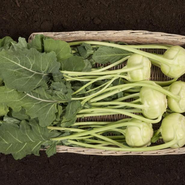 Kohlrabi und Kohlrabiblätter.
