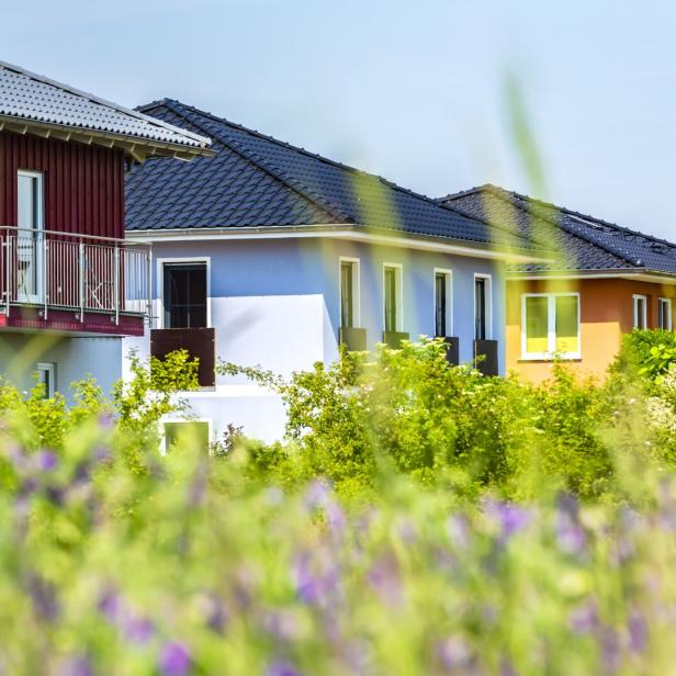 Single-family houses