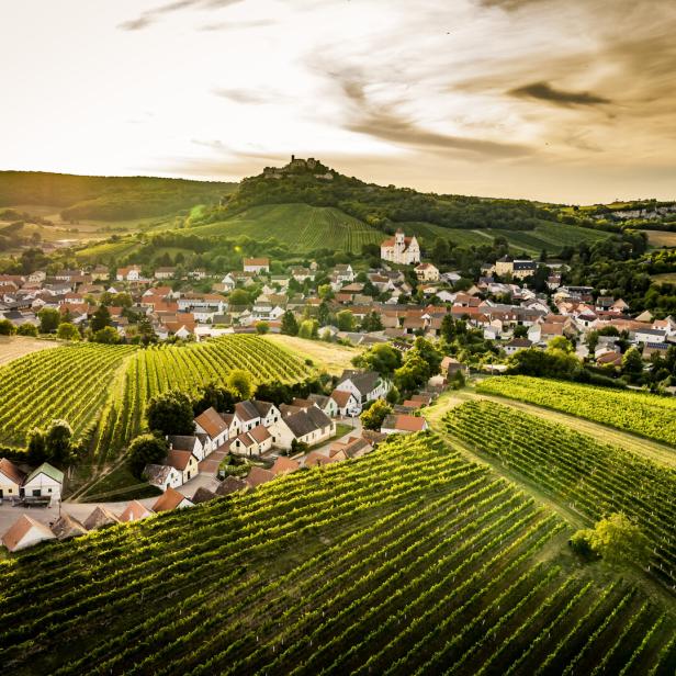 Blick über eine Ortschaft mit Weinbergen und einer Burg im Hintergrund.