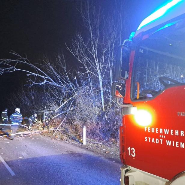 ++ HANDOUT ++ WIEN: STURM SORGTE FÜR EINE ERHÖHTE ANZAHL AN FEUERWEHREINSÄTZEN