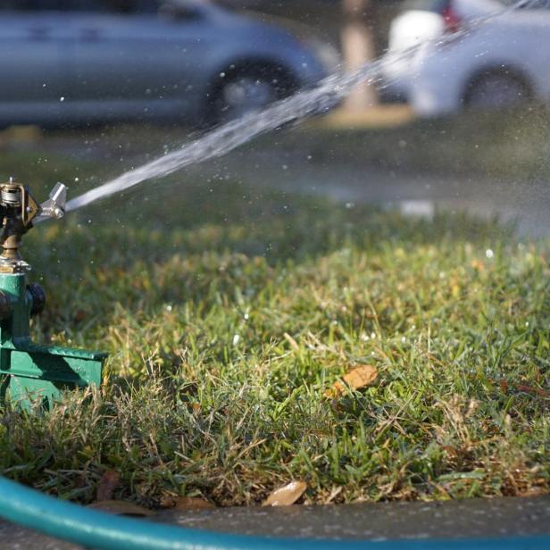Rasensprengen verboten? Dürre führt zu Wasserknappheit in Deutschland.