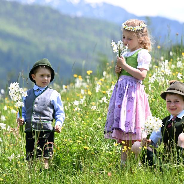 Kinder in Wieser voller Narzissen
