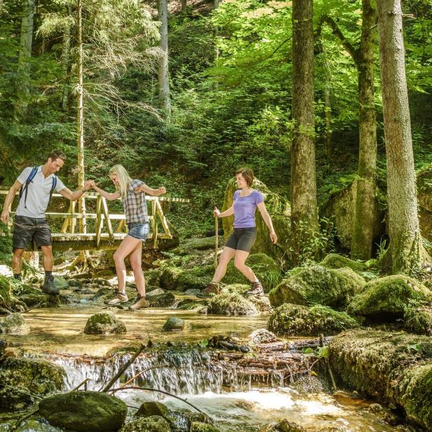 Eine Gruppe von Wanderern überquert einen Bach in einem grünen Wald.