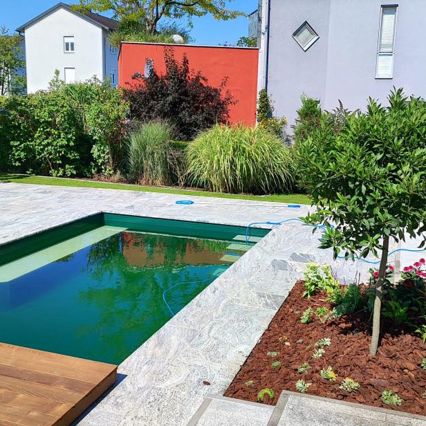 Ein Naturpool in einem Garten 