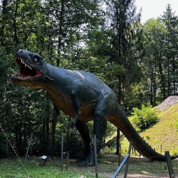 Ein lebensgroßes Modell eines Tyrannosaurus Rex steht in einem Wald.