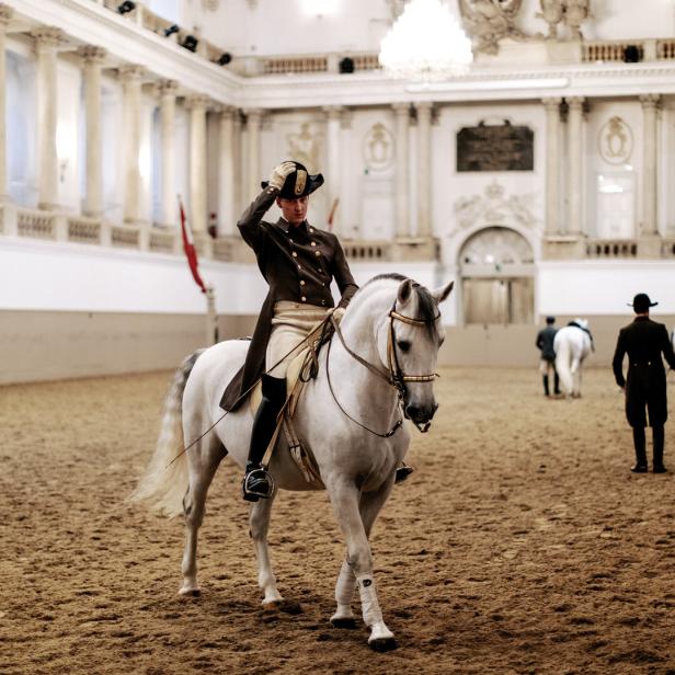 Ein Reiter in Uniform grüßt auf einem weißen Pferd in einer Reithalle.
