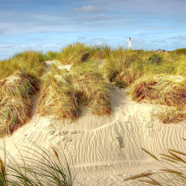 Düne in Blavand, Dänemark