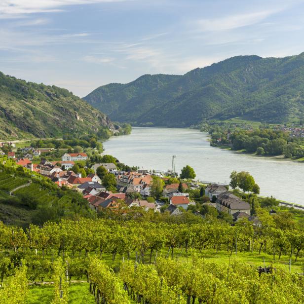 Blick von einem Hügel auf die Donau und die Wachau.