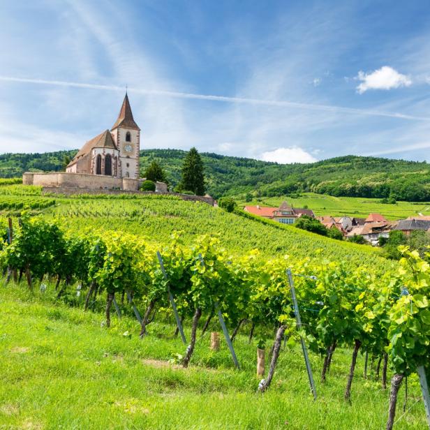 Alte Kirche und Weinberge in Elsass, Frankreich.