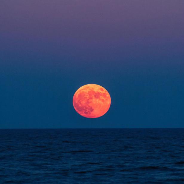 Roter Vollmond am Horizont des Meeres