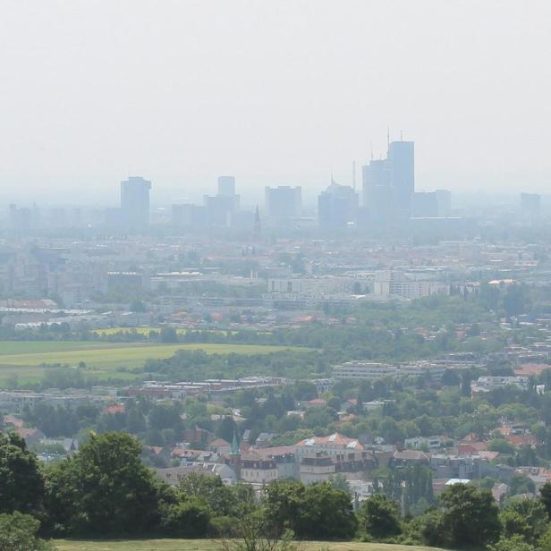 Blick vom Bisamberg über das neblige Wien