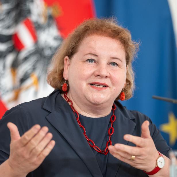 MINISTERRAT - PRESSEFOYER: SCHUMANN