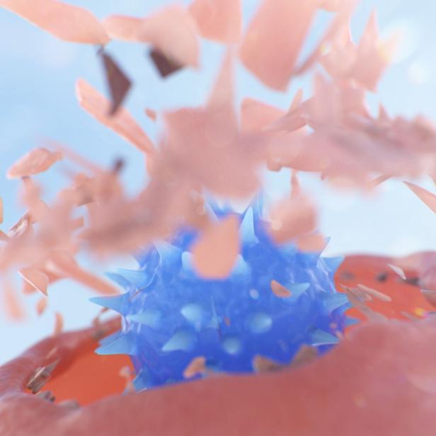 NK Cell (Natural Killer Cell) Attacking a Cancer Cell