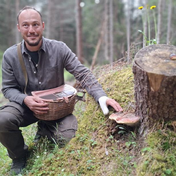 Leeroy Begle, ein Mykologe, kniet im Wald neben einem Baumstumpf mit einem Pilz.