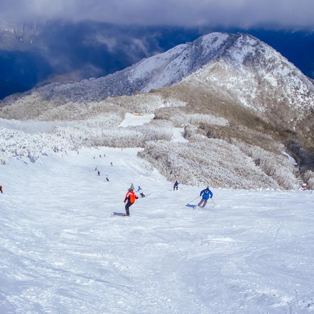Der Berg Mt. Buller in Australien während des Winters.