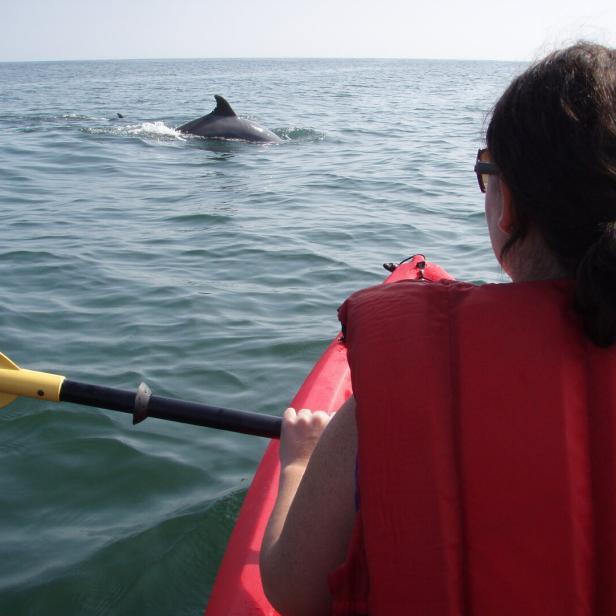 Eine Frau in einem roten Kajak paddelt auf dem Meer und beobachtet einen Delfin.