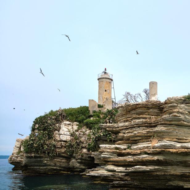 Ein Leuchtturm steht auf einer felsigen Insel, umgeben von Möwen.