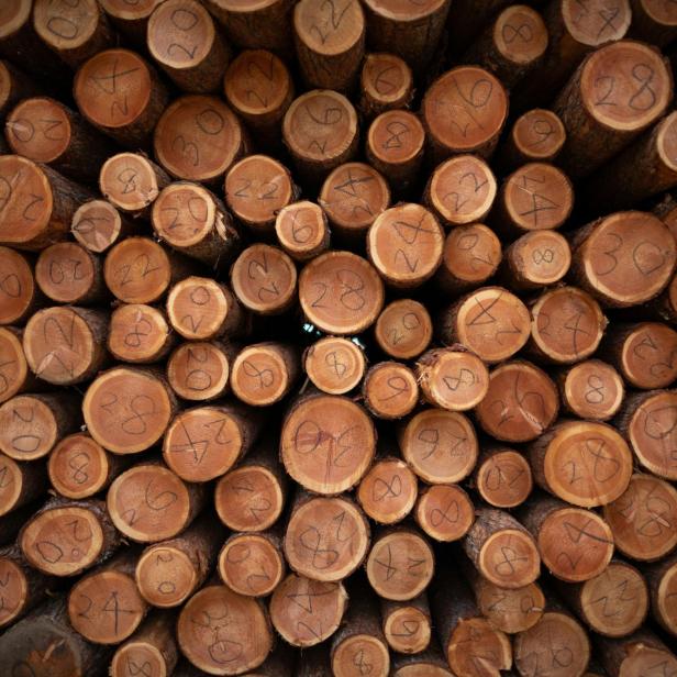 Gestapelte Baumstämme mit aufgemalten Zahlen.