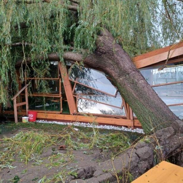 Ein umgestürzter Baum hat ein Gebäude beschädigt und Fenster zerstört.