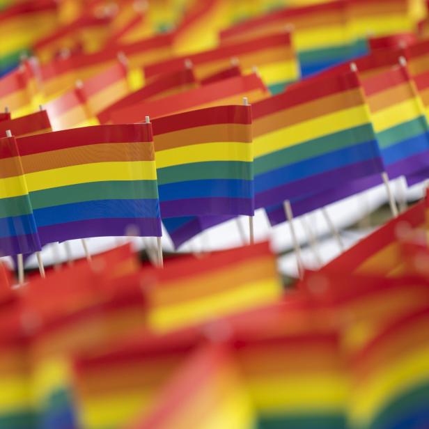 Viele kleine Regenbogenfahnen sind dicht an dicht aufgereiht.