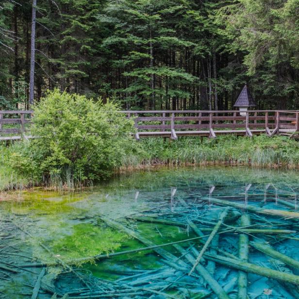 Ein Holzsteg führt über einen klaren Bergsee mit Baumstämmen auf dem Grund.