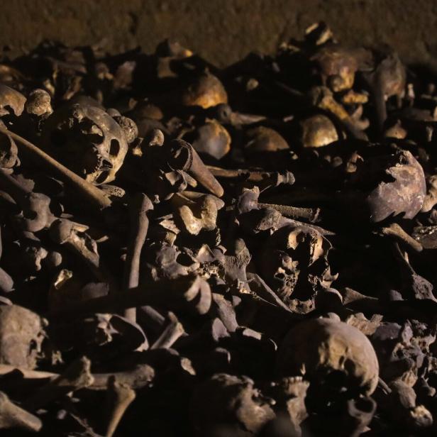 Katakomben im Wiener Stephansdom