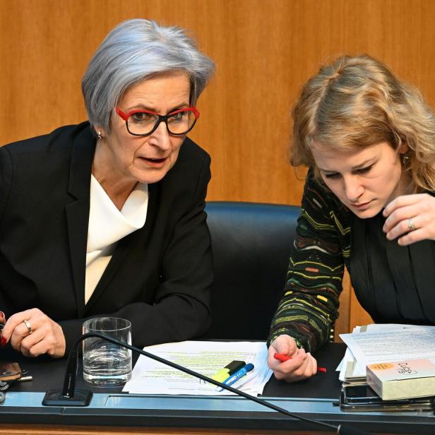 NATIONALRAT-SONDERSITZUNG MIT REGIERUNGSERKLÄRUNG:  SPORRER (SPÖ) / HOLZLEITNER (SPÖ)