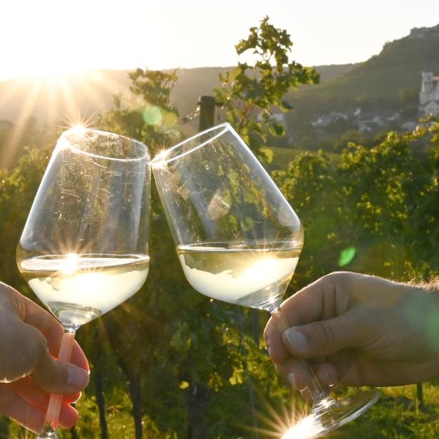 Gefüllte Weingläser, die anstoßen, vor der Kulisse der Weinberge.