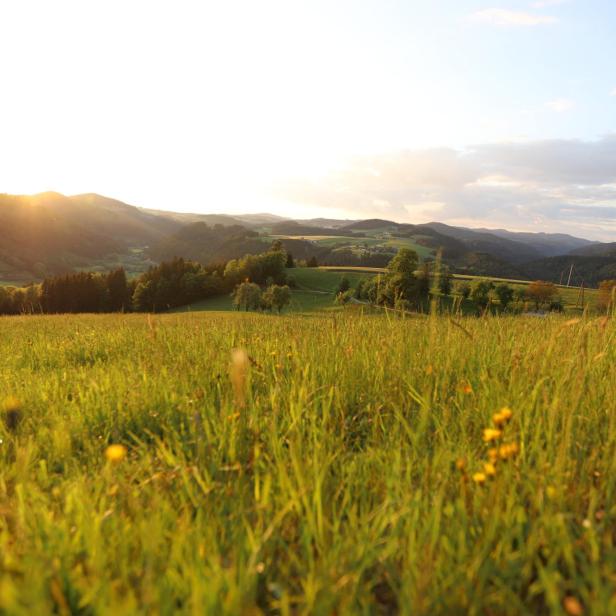 Hügelige Landschaft im Mühlviertel.