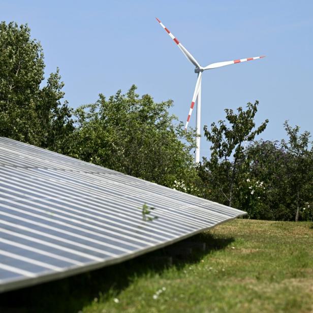 Solarmodule auf einer Wiese mit Bäumen im Hintergrund, dahinter steht ein Windrad vor blauem Himmel.