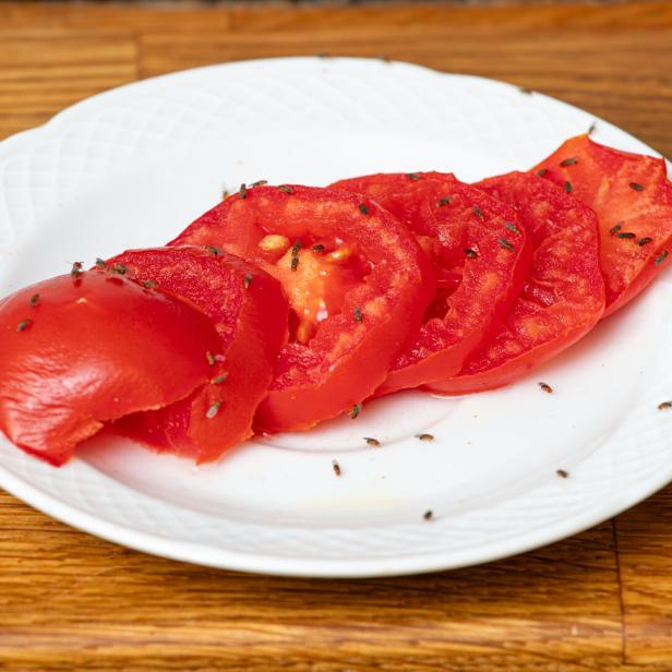 Fruchtfliegen machen sich über überreife Früchte – hier etwa Tomatenscheiben – besonders gerne her.