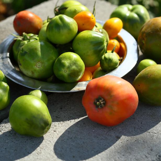 Grüne und rote Tomaten liegen auf einer Betonfläche.