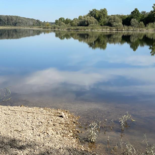 Das Foto zeigt einen Teil der unteren Lobau