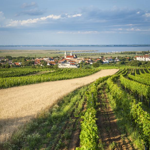 Blick von den Weinbergen auf Einfamilienhäuser vor dem Neusiedler See